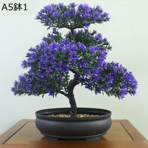 tFCNO[ ԃO[ ԃCeA A { lHϗtA CeAO[ ϗtA lHA ȒPb炸  _ k z[ Be 