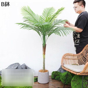 tFCNO[ AJV Mъϗt A lHϗtA CeAO[ ^ { lHA ϗt lHt ͂Ȃ ItBX CeA x_