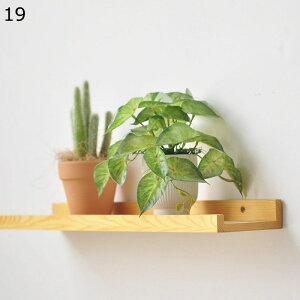 �t�F�C�N�O���[�� ���A�� �l�H�t���� ��^ �����X�e���̗t �A�C�r�[ ���A�� �|�g�X �l�H�ϗt�A�� �{���������� �ϗt�A�� �l�H�A������ �����b�s�v ��̓� �h�V�̓� �����j�� �N���X�}�X