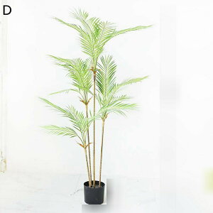 tFCNO[ AJV A lHt ^ lHϗtA { lHA ϗt CeAO[ ͂Ȃ X /O z[K[f p[eB[̌