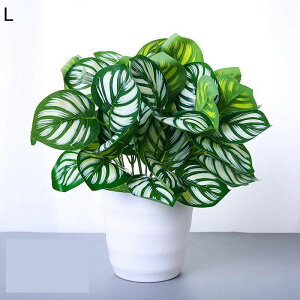 lHϗtA A lHt A |gX ACr[ { CeAO[ tFCNO[ Q쏜sv lHA ϗtA ̓ hV̓ j NX}X