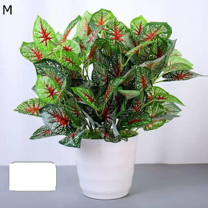 lHϗtA A lHt A |gX ACr[ { CeAO[ tFCNO[ Q쏜sv lHA ϗtA ̓ hV̓ j NX}X