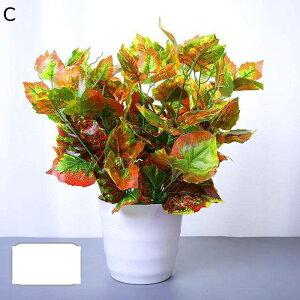 �l�H�ϗt�A�� ���A�� �l�H�t���� ���A�� �|�g�X �A�C�r�[ �{���������� �C���e���A�O���[�� �t�F�C�N�O���[�� �Q���쏜�s�v �l�H�A������ �ϗt�A�� ��̓� �h�V�̓� �����j�� �N���X�}�X