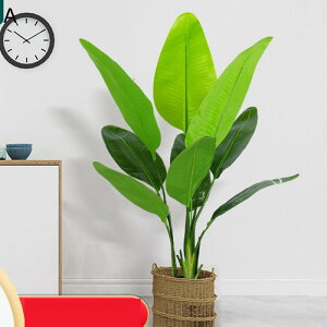 tFCNO[ oVE Mъϗt Xe̗t ^Ηt lHt CeAO[ A { lHA ϗt Q쏜sv k CeA EFfBO