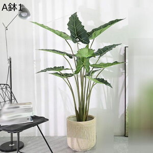 tFCNO[ Xe ^ ^Ηt lHt lHϗtA CeAO[ A { lHA ϗt ͂Ȃ k ins  CeA