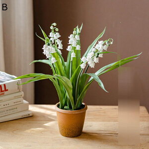 qVX ԃCeA XY ͂Ȃ A XCZ  ϗtA A { ԕr Q쏜sv  _ k ̓ CeA 蕨 x_ 