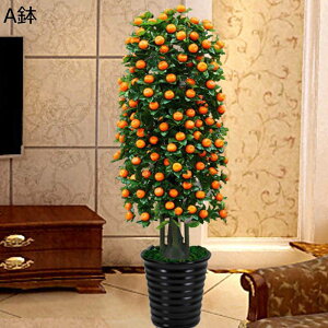 tFCNO[  ݂ ʕ  lHϗtA LJ CeAO[ A { ^Ηt lHA ϗt bsv k A[g ins Vbv diy p[e