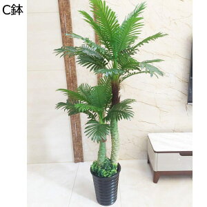 tFCNO[ A AJV hZi lHϗtA CeAO[ lHt ^Ηt { lHA ϗt bsv ͂ȂO[ fR[V A