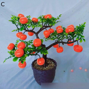 lHϗtA   ݂ A ʕ { CeAO[ A tFCNO[ K[f bsv lHt ϗt 蕨 v[g ꂢ X