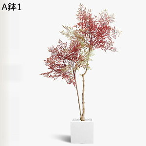 tFCNO[ ie lHϗtA CeAO[ A { ^Ηt lHt lHA ϗt bsv k ins  CeA EFfBO