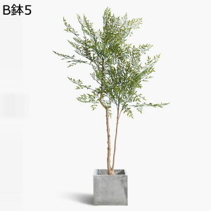 tFCNO[ ie lHϗtA CeAO[ A { ^Ηt lHt lHA ϗt bsv k ins  CeA EFfBO