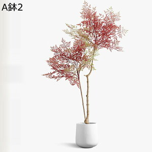 tFCNO[ ie lHϗtA CeAO[ A { ^Ηt lHt lHA ϗt bsv k ins  CeA EFfBO