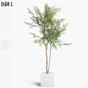 tFCNO[ ie lHϗtA CeAO[ A { ^Ηt lHt lHA ϗt bsv k ins  CeA EFfBO