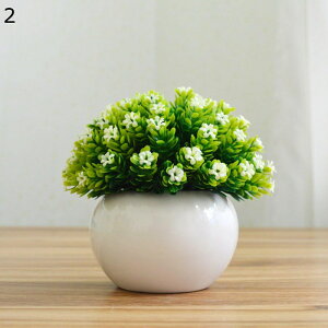 lHϗtA   Ã{[ lH{[ { CeAO[ tFCNO[ ~j ͂Ȃ lHt lHA   X iX u 蕨 ʐ^B