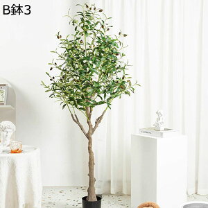 tFCNO[ I[u ʕ lHϗtA CeAO[ A { ^ ^Ηt lHA ϗt ϗtA bsv k ins  CeA EFfB