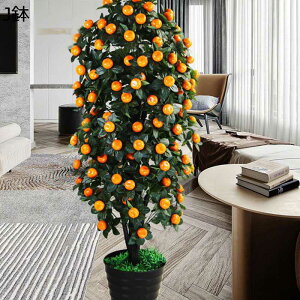 tFCNO[ ʕ ݂ LJ  lHϗtA CeAO[ A { ^Ηt lHt ϗt ȒPb炸 k A[g ins z[ Be 