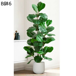 tFCNO[ A Xe̗t lHt ^ lHϗtA { ͂ȂO[ ϗtA ϗt lHA ȒPb炸 A  p[eB[̌ V