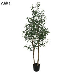 tFCNO[ I[u A lHt ^ lHϗtA { ͂ȂO[ ϗtA lHA ϗt bsv p[eB[̌ CeA x_ K[