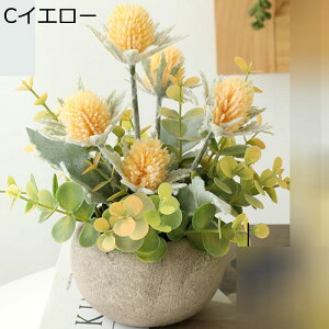 ԃCeA ۂ ݑ A u ~j ͂Ȃ  ϗtA A { ԕr k ins  hV̓ j  Mtgԑ CeAp