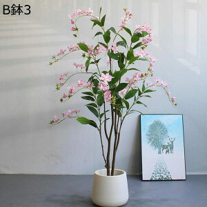 tFCNO[ tFCN  A ԃACr[ A lHt ԃCeA ^ lHϗtA { ϗtA ϗt ͂Ȃ  뉀 iX K[f r