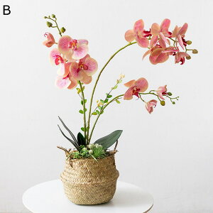 胡蝶蘭 ミニ花器 鉢植え 花カゴ 造花インテリア 花束 卓上置き 枯れない花 装飾花 観葉植物 リアル 本物そっくり 枯れない 北欧 アート ins ガーデン飾り 装飾置物 贈り物 写真撮影 玄関飾り