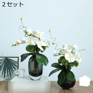 ԃZbg x_[ ԃCeA o Ӓ ԑ ͂Ȃ  ϗtA A { sv ԕr k A[g ins 蕨 v[g p  u[P