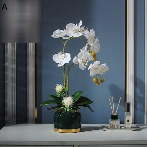 ԃCeA Ӓ A ͂Ȃ ~jԊ  ϗtA A { ͂Ȃ  _ k Be p z[ 뉀 Lb` ItBX A[g u A