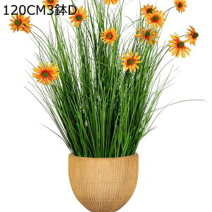  ͂Ȃ qiMN@e }[Kbg ԃCeA A ϗtA  A { ͂ȂO[ k ins  ̓ CeA 蕨 x_ 