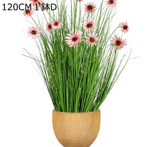  ͂Ȃ qiMN@e }[Kbg ԃCeA A ϗtA  A { ͂ȂO[ k ins  ̓ CeA 蕨 x_ 