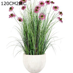  ͂Ȃ qiMN@e }[Kbg ԃCeA A ϗtA  A { ͂ȂO[ k ins  ̓ CeA 蕨 x_ 