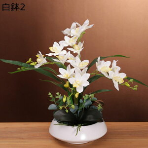  ԃO[ XK 픫 A  A[gt[ tFCN A { ͂ȂO[ k ins  ̓ CeA 蕨 u x_ 