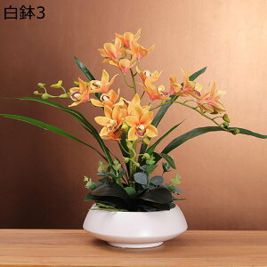  ԃO[ XK 픫 A  A[gt[ tFCN A { ͂ȂO[ k ins  ̓ CeA 蕨 u x_ 