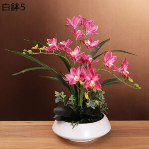  ԃO[ XK 픫 A  A[gt[ tFCN A { ͂ȂO[ k ins  ̓ CeA 蕨 u x_ 