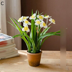 ԃCeA x_[ XY  ͂Ȃ A  ϗtA { sv k A[g ins   iX  K[f u 蕨 ʐ^B