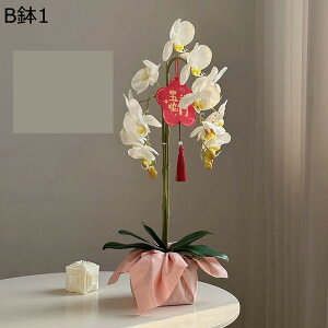 ԃCeA A A Ӓ ~jԊ ԑ ͂Ȃ  ϗtA A { bsv k A[g ins    CeA u fR[V