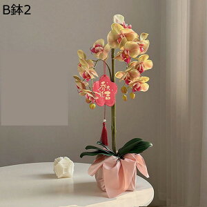 造花インテリア 植物装飾 鉢植え 胡蝶蘭 ミニ花器 花束 枯れない花 装飾花 観葉植物 リアル 本物そっくり お世話不要 北欧 アート ins 部屋 玄関 お見舞い インテリア 卓上置き デコレーショ