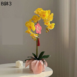 ԃCeA A A Ӓ ~jԊ ԑ ͂Ȃ  ϗtA A { bsv k A[g ins    CeA u fR[V