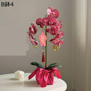 ԃCeA A A Ӓ ~jԊ ԑ ͂Ȃ  ϗtA A { bsv k A[g ins    CeA u fR[V