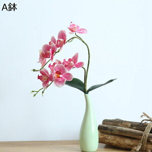 ԃCeA Ӓ ~jԊ ͂Ȃ  ϗtA A[gt[ A { Q쏜sv  _ A k 蕨 v[g p  u[P