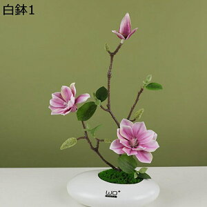 ԃCeA ͂Ȃ nNN  A[gt[ u t[AWg ϗtA A { bsv k A[g ins 蕨 v[g p 