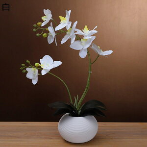  ͂Ȃ Ӓ tFCN A ԃCeA ~jԊ ϗtA  ԑ A { ȒPb炸  _ k    CeA