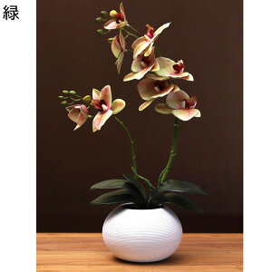  ͂Ȃ Ӓ tFCN A ԃCeA ~jԊ ϗtA  ԑ A { ȒPb炸  _ k    CeA