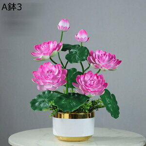 u ԃCeA  ? ~jԊ A[gt[ 픫 ԑ ͂Ȃ  ϗtA A { ͂Ȃ k ins  hV̓ j  Mtg