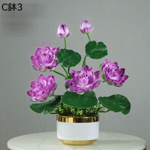 u ԃCeA  ? ~jԊ A[gt[ 픫 ԑ ͂Ȃ  ϗtA A { ͂Ȃ k ins  hV̓ j  Mtg