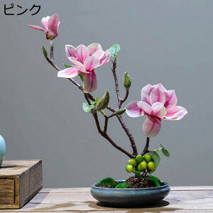 nNN ԃCeA u 픫 A[gt[ ԑ ͂Ȃ  ϗtA A { sv k ins  K[f u 蕨 ʐ^B