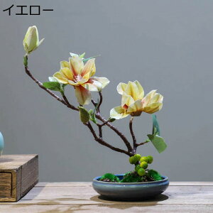 nNN ԃCeA u 픫 A[gt[ ԑ ͂Ȃ  ϗtA A { sv k ins  K[f u 蕨 ʐ^B