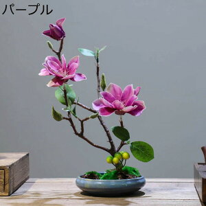 nNN ԃCeA u 픫 A[gt[ ԑ ͂Ȃ  ϗtA A { sv k ins  K[f u 蕨 ʐ^B