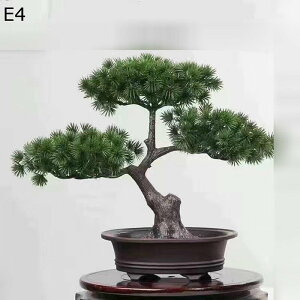 tFCNO[ A  ~j A u lHϗtA CeAO[ lHt { ϗtA ϗt lHA ͂Ȃ sv K[f   