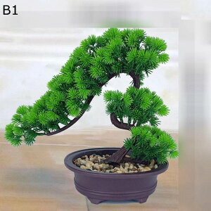 tFCNO[ A  ~j A u lHϗtA CeAO[ lHt { ϗtA ϗt lHA ͂Ȃ sv K[f   