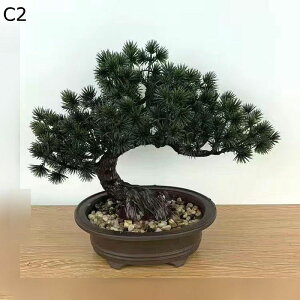 tFCNO[ A  ~j A u lHϗtA CeAO[ lHt { ϗtA ϗt lHA ͂Ȃ sv K[f   